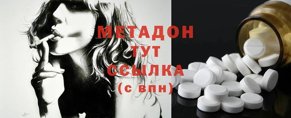 индика Алексин