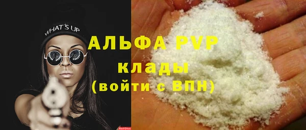 индика Алексин
