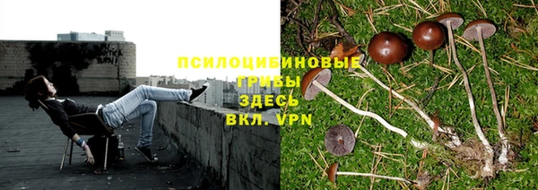 индика Алексин