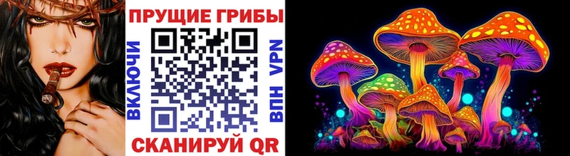 купить наркоту  Саров  Галлюциногенные грибы Cubensis 
