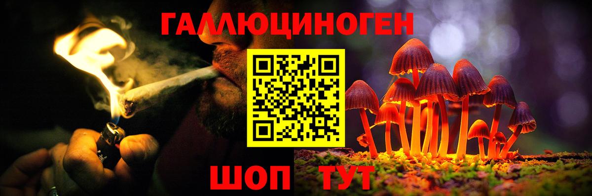 Псилоцибиновые грибы Psilocybine cubensis  Вход с VPN  Саров 