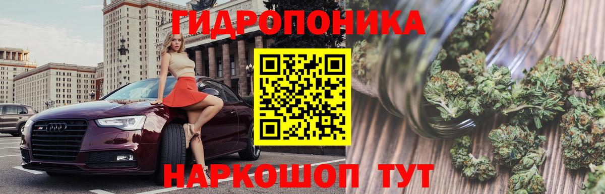 Канабис семена  Канабис марихуана  Саров  Вход с VPN 