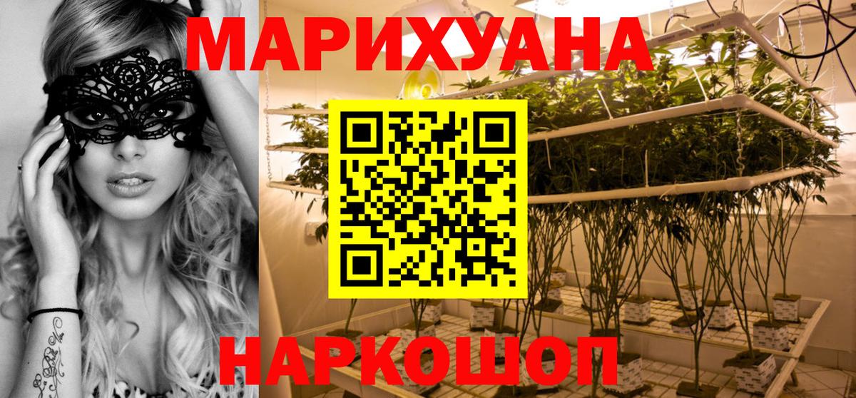 Конопля планчик Саров